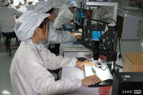 沖刺年度目標,海富電子年底還將產百萬條傳輸線